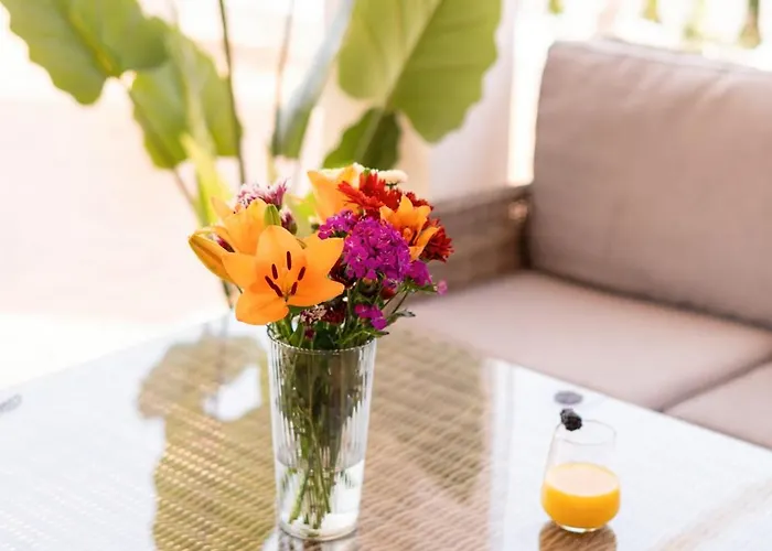 Enchanting Portocervo Адехе